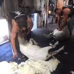 Eddie Otto Turner - @eddie.turner.7399 - Instagram