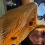 Eddie Overton - @edibleeddiespaghettitulletie - Instagram