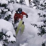Eddie Parks - @shreddiep - Instagram