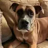 eddieparks06 - @eddieparks06 - TikTok