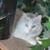 Eddie Partain - Facebook