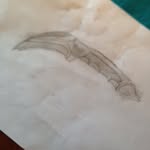 Eddie Pedersen - @the_drawer_04 - Instagram
