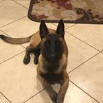 Eddie Pell - @eddie.pell.3 - Instagram