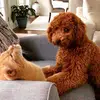 Pete&Eddie - @peteandeddie - TikTok