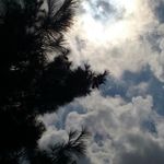 asl-@ and_DNA - @eddiephipps3862 - Instagram