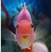 Eddie Phipps - Facebook