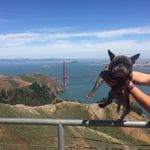 Eddie Pierre - @the.edster - Instagram