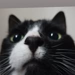 Eddie Pollock - @eddie.pollock.71 - Instagram