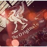 Eddie Quinn - @eddiequinnie - Instagram