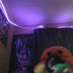 Eddie - @eddie_randomstuff - Instagram