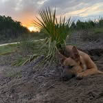Eddie Trayner - @eddietrayner - Instagram