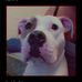 Eddie Rey - Facebook
