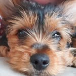 Eddie Brackenridge - @eddiebrackenridge - Instagram