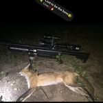 𝗘𝗱𝗱𝗶𝗲 𝗿𝗼𝗯𝗯𝗶𝗻𝘀 - @eddie_robbo - Instagram