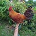 Eddie Roger Ulanday - Facebook
