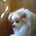 Eddie Schuster - Facebook