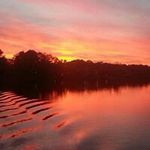 Eddie Self - @selfeddie - Instagram