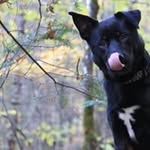 Eddie Shack - @ediieshack - Instagram