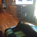 Eddie Shaffer - Facebook