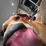 Eddie Sharp - @eddiesharp10 - Instagram