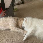 Eddie Sharp - @eddiesharp72 - Instagram