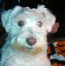 Eddie Shelman - Facebook