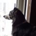 Eddie Sheppard - Facebook