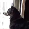 eddiesheppard04 - @eddiesheppard04 - TikTok