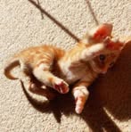 Eddie Shi - Facebook