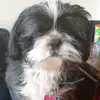 Eddie Shields - @eddieshields188 - TikTok