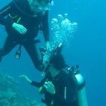 Eddie Shoemaker - @shoed809 - Instagram