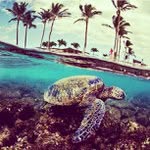 @eddieshore1 - Instagram