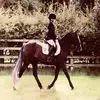 Edie Shotton 🦄🐴🧜🏼‍♀️ - @dide_unicorn11 - TikTok