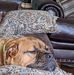 Eddie Shufford - Facebook
