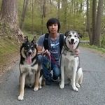 Eddie Shum - @eddie.shum - Instagram