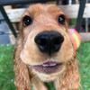 Eddie pickles - @eddie_pickles - TikTok