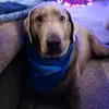 Eddie - @silvereddie - TikTok