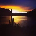 EddiesInboardMarine - @eddiesinboardmarine - Instagram