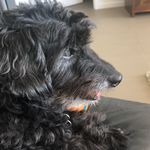 Eddie Singer - @eddieslyf - Instagram