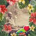 Edwin Skipper - Facebook