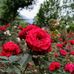 Sovan Audhya - Facebook