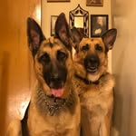 Eddie Sledge Evanoff - @eddieevanoff - Instagram