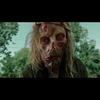 Eddie’s Lepper - @actuallythelepper - TikTok