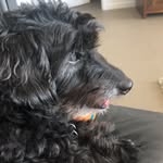 Eddie Singer - @eddieslyf - Instagram