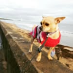 Eddie - @eddiesnooker300 - Instagram