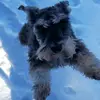 Eddie Snow - @snowmann424 - TikTok
