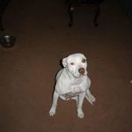 Eddie Snow - @snow.eddie - Instagram