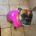 Eddie_snow - @eddie_snow - Instagram