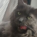 Eddie solero - @soleroeddie - Instagram