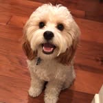 Edward - @eddie.spaghetti___ - Instagram